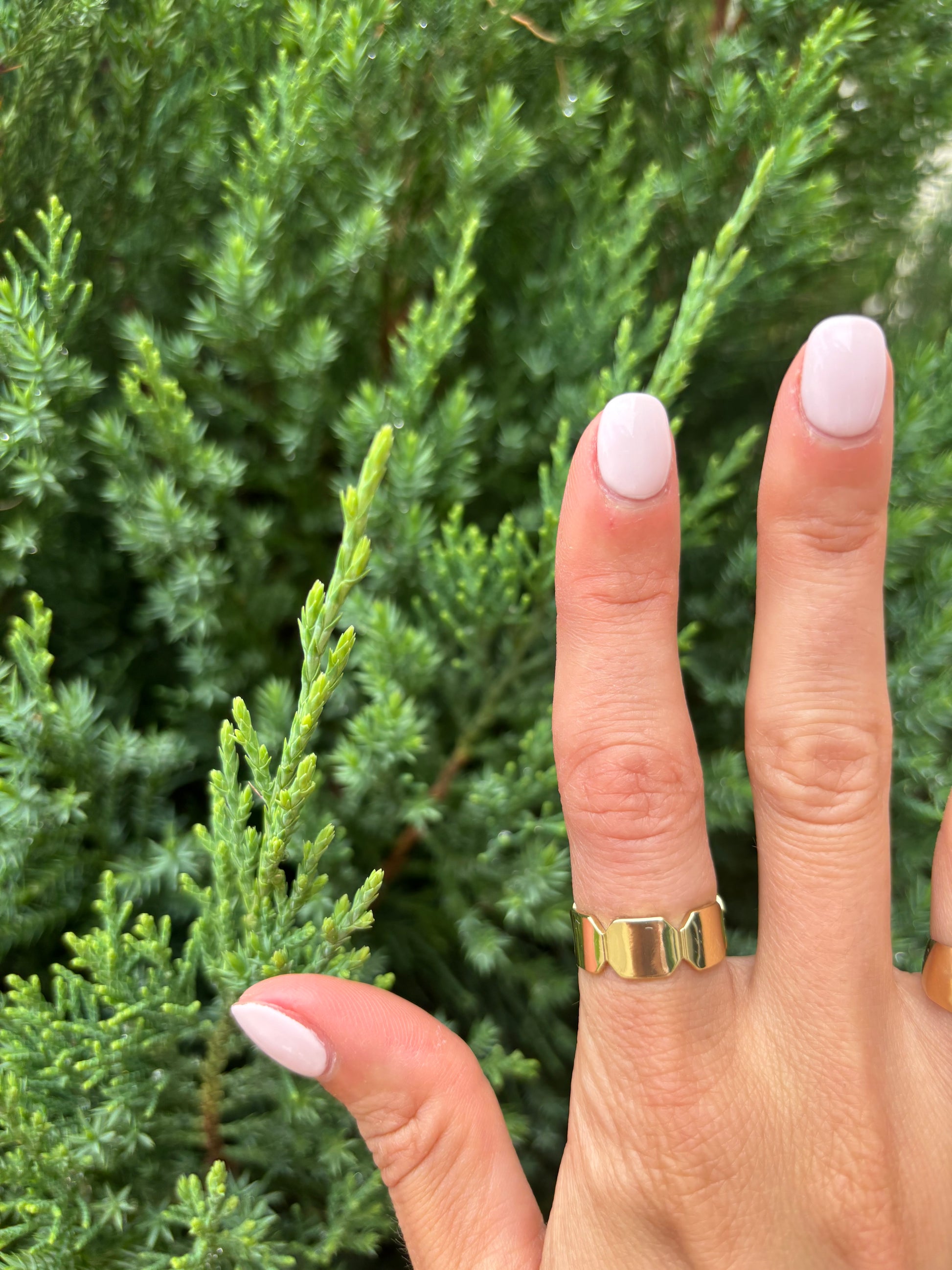 The Gold Ring