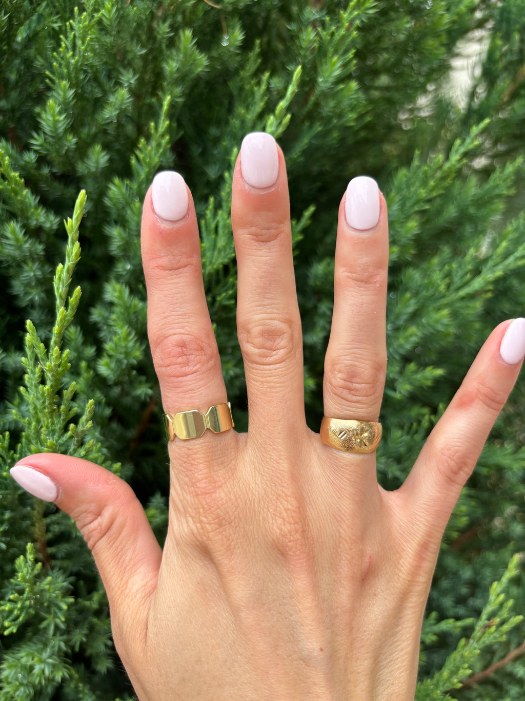 The Gold Ring