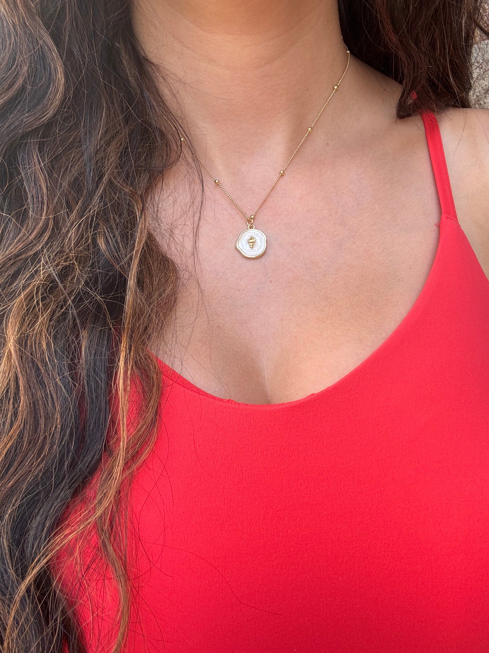 The Seashell Necklace