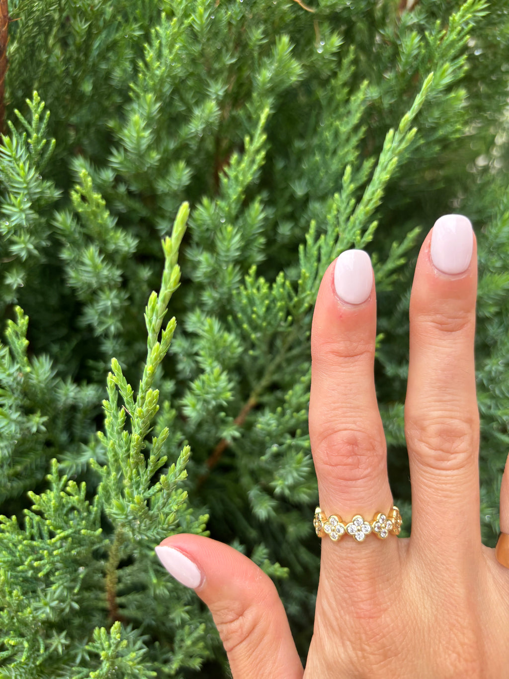 The Clover Ring