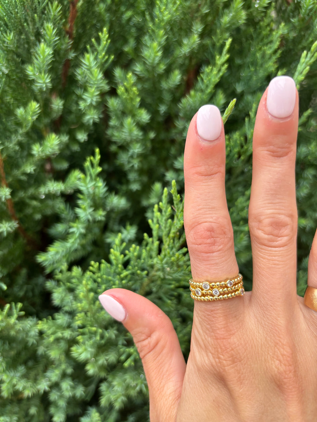 The Sonia Ring