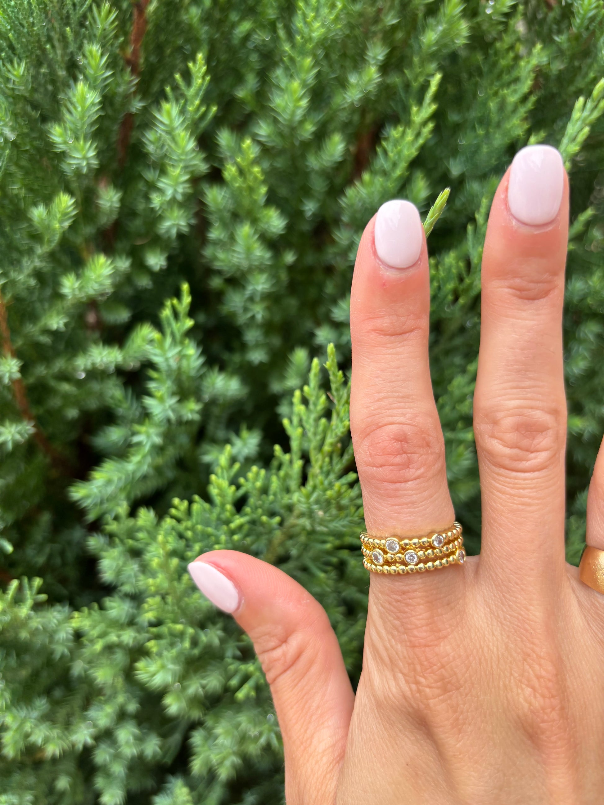 The Sonia Ring