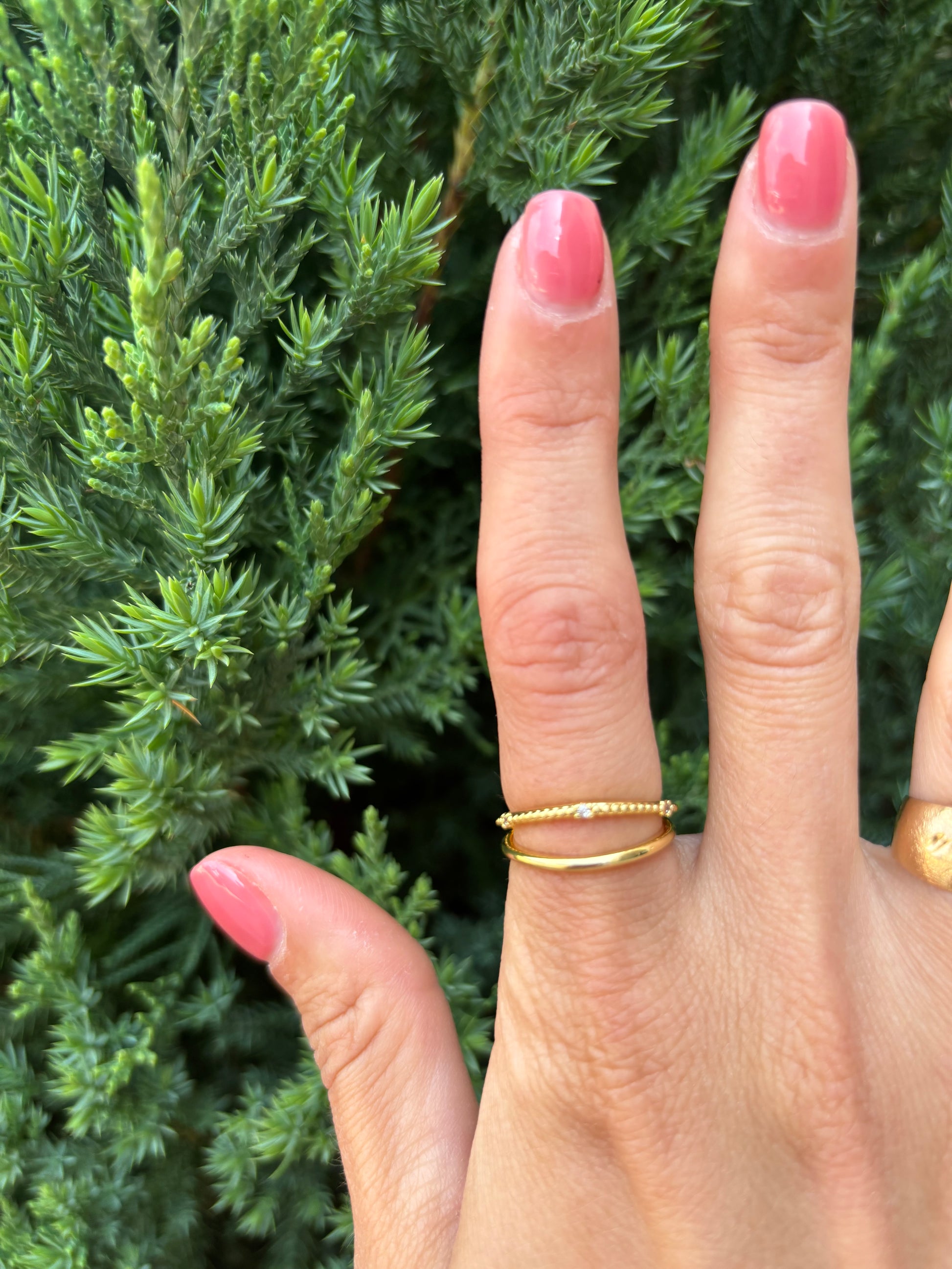 Double Gold Ring