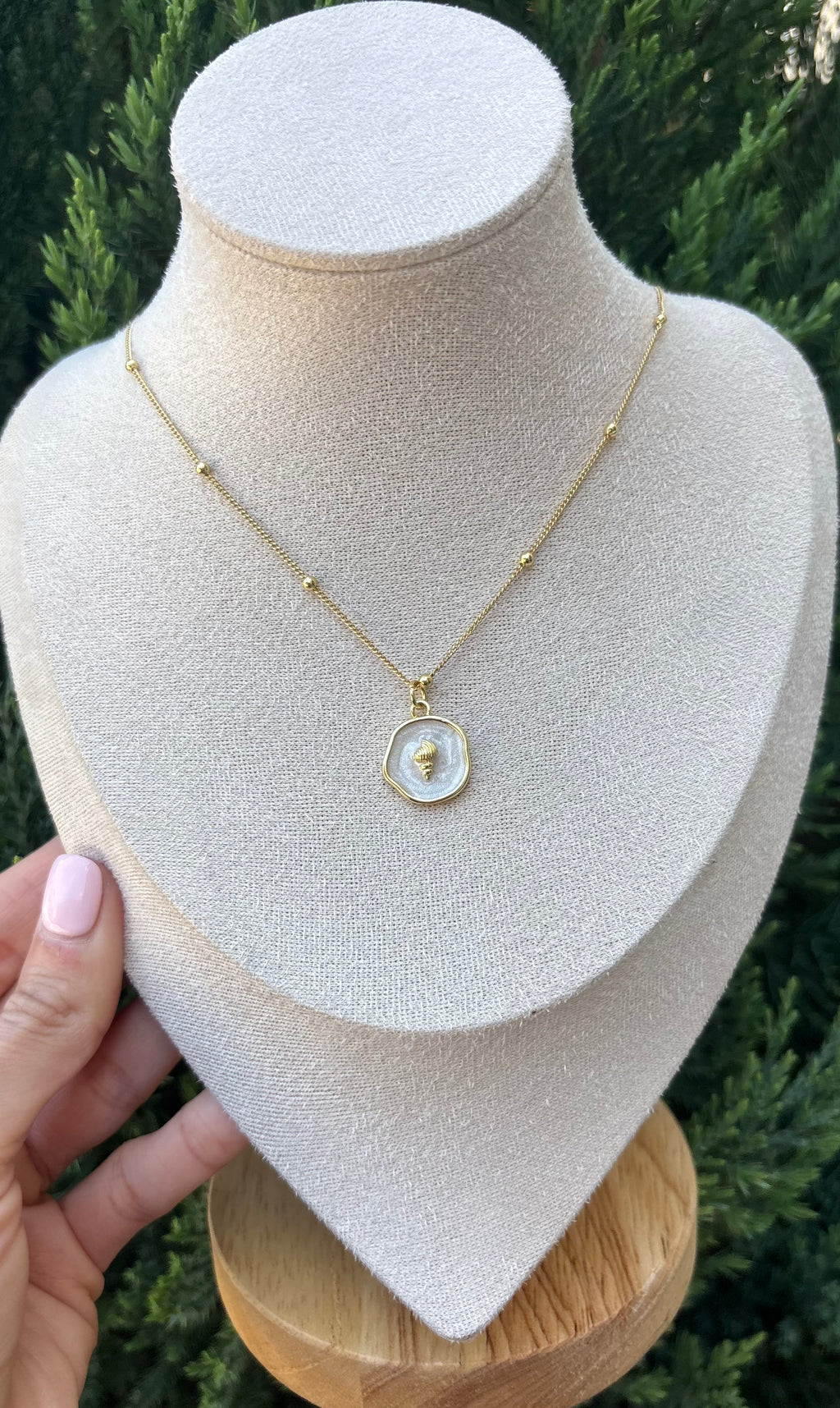 The Seashell Necklace