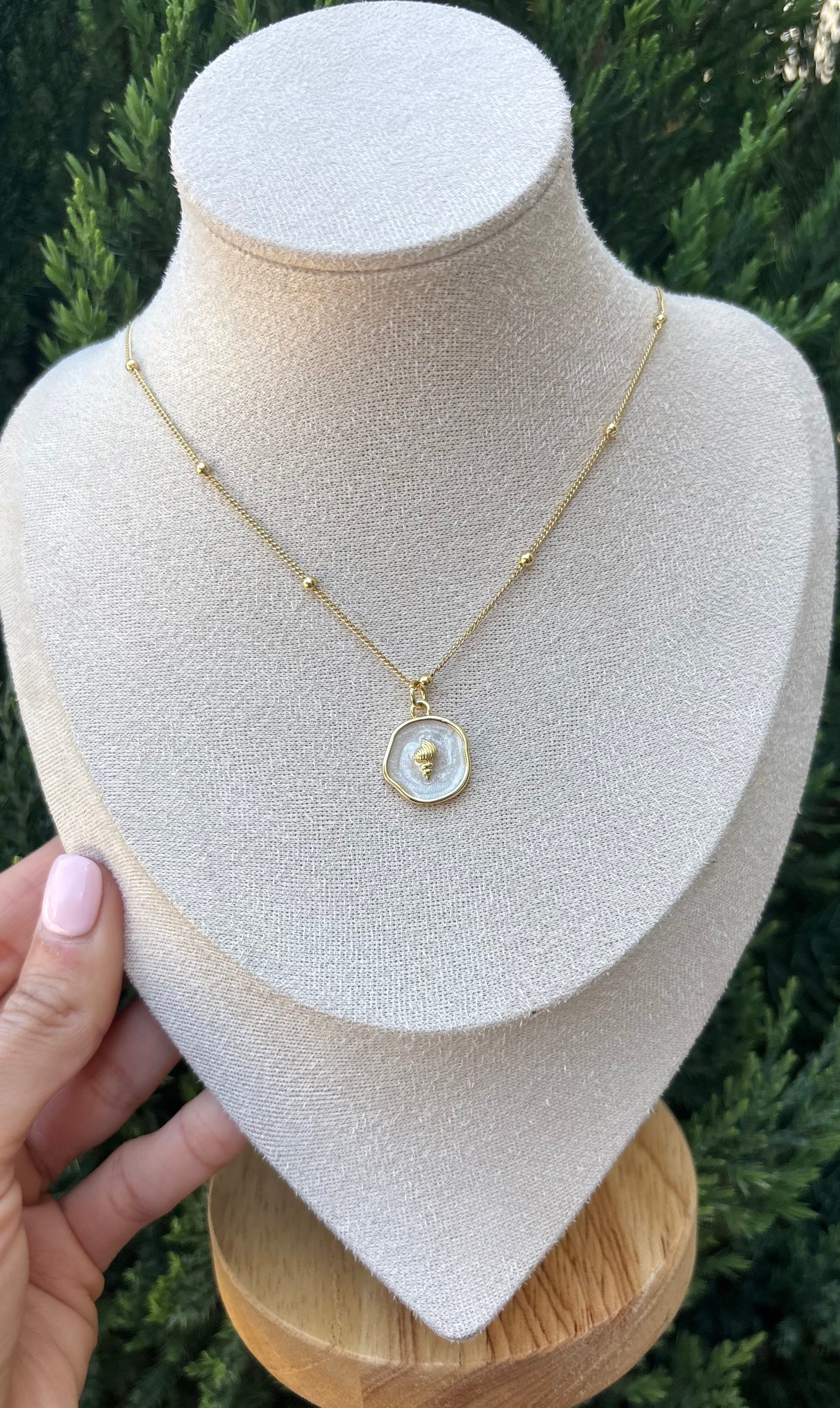 The Seashell Necklace