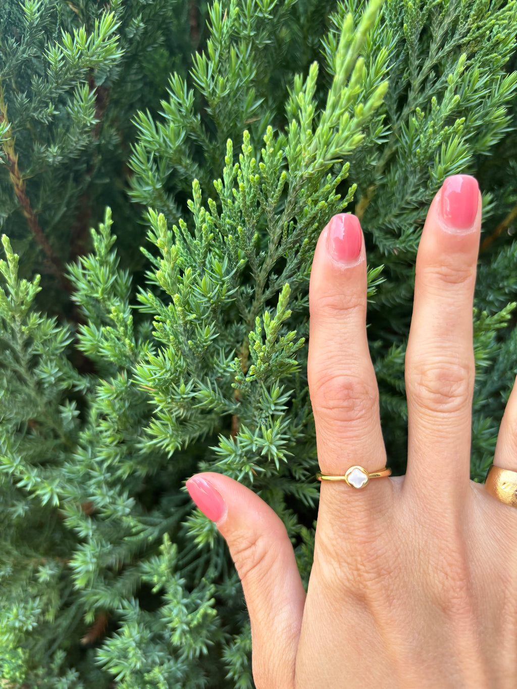 Shell Pearl Clover Bezel Ring